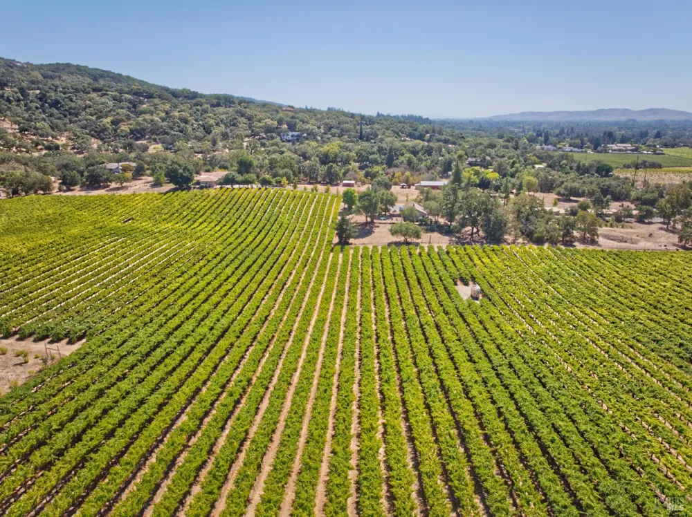 15881 Highway 12 Sonoma, CA 95476