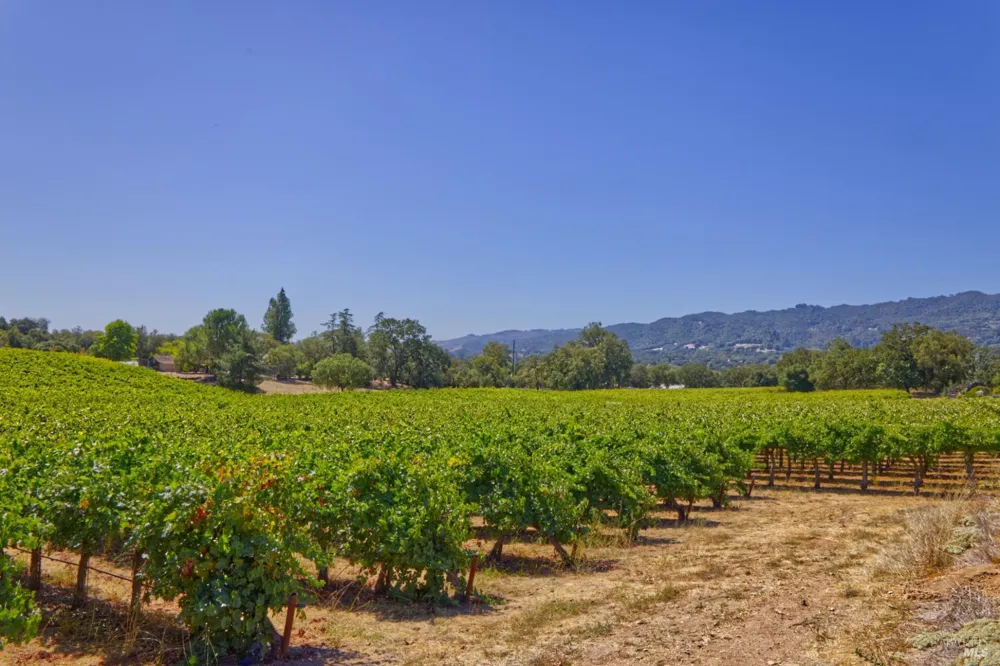 15881 Highway 12 Sonoma, CA 95476