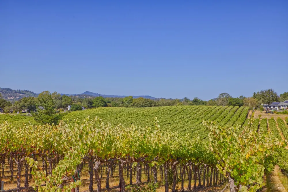 15881 Highway 12 Sonoma, CA 95476