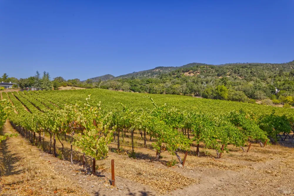 15881 Highway 12 Sonoma, CA 95476