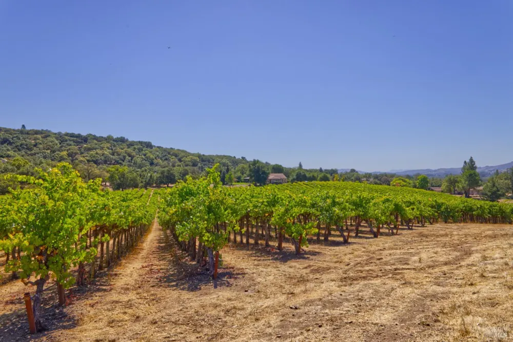 15881 Highway 12 Sonoma, CA 95476