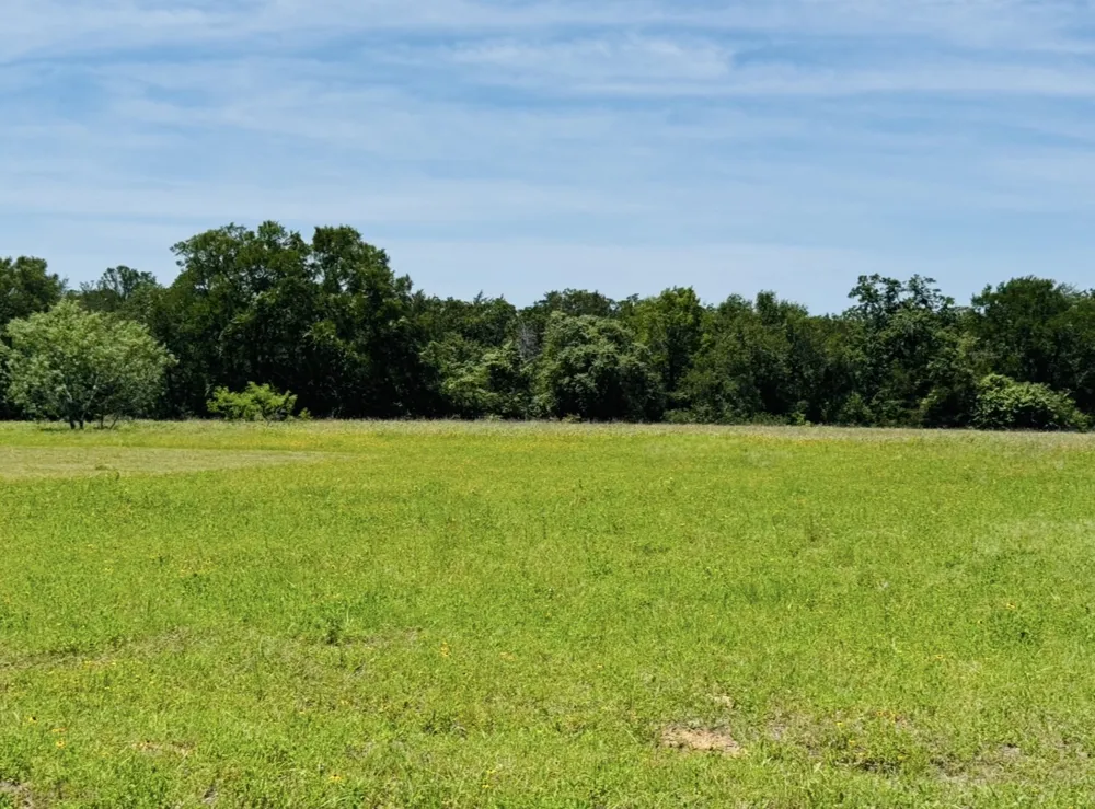 1294 Private Road 7037 Lexington, TX 78947