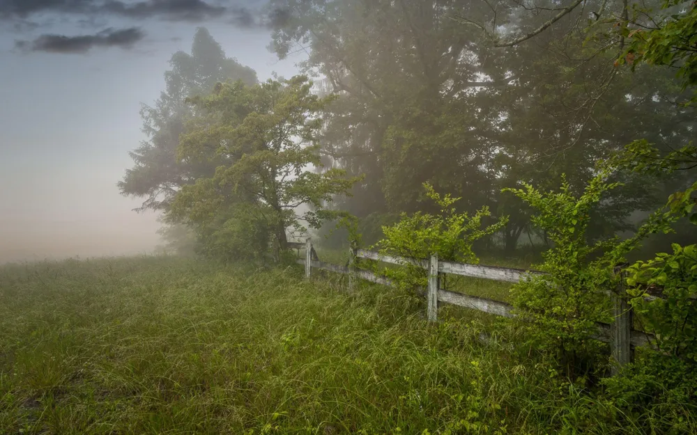 Address Not Shown Signal Mountain, TN 37377