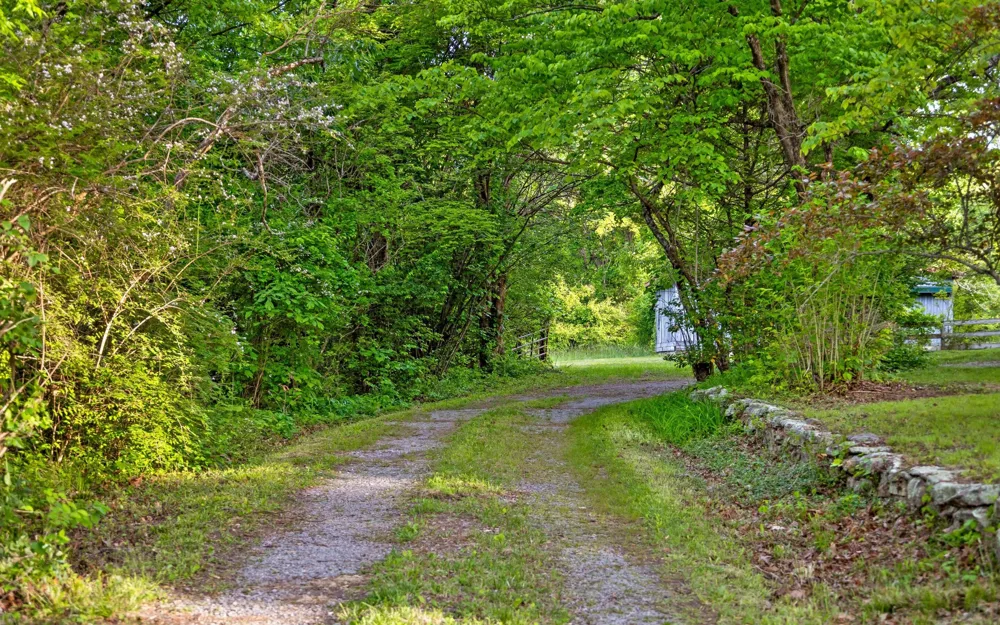 Address Not Shown Signal Mountain, TN 37377