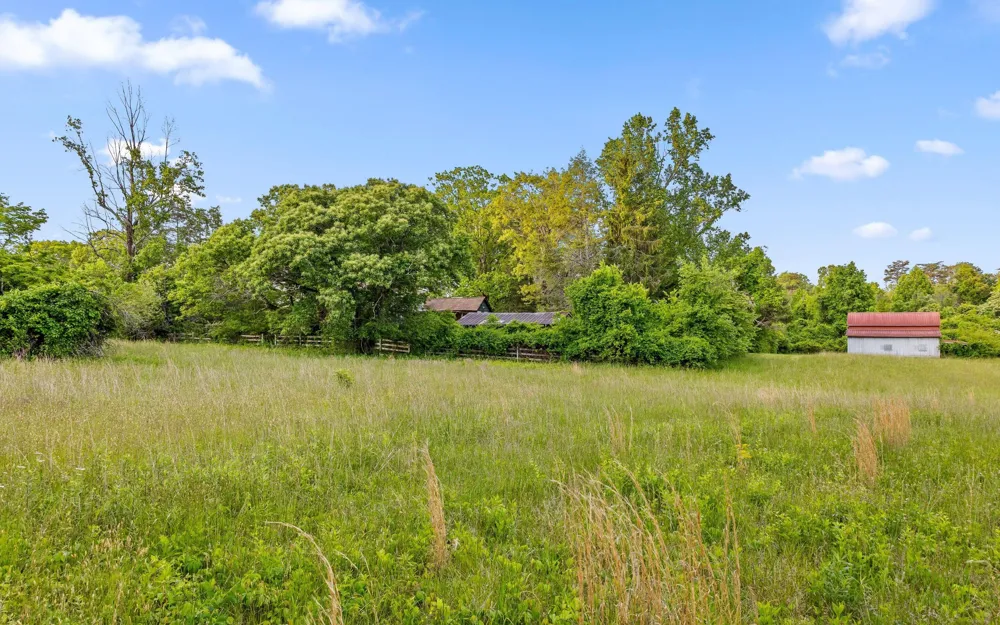 Address Not Shown Signal Mountain, TN 37377