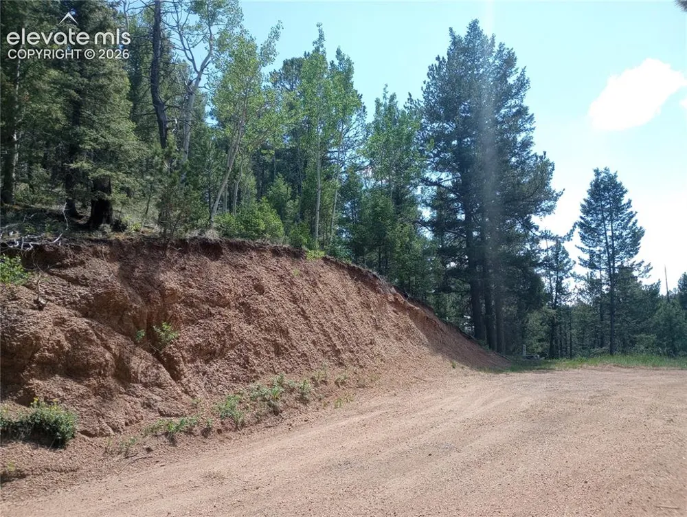 138 Glenwood Lane Woodland Park, CO 80863