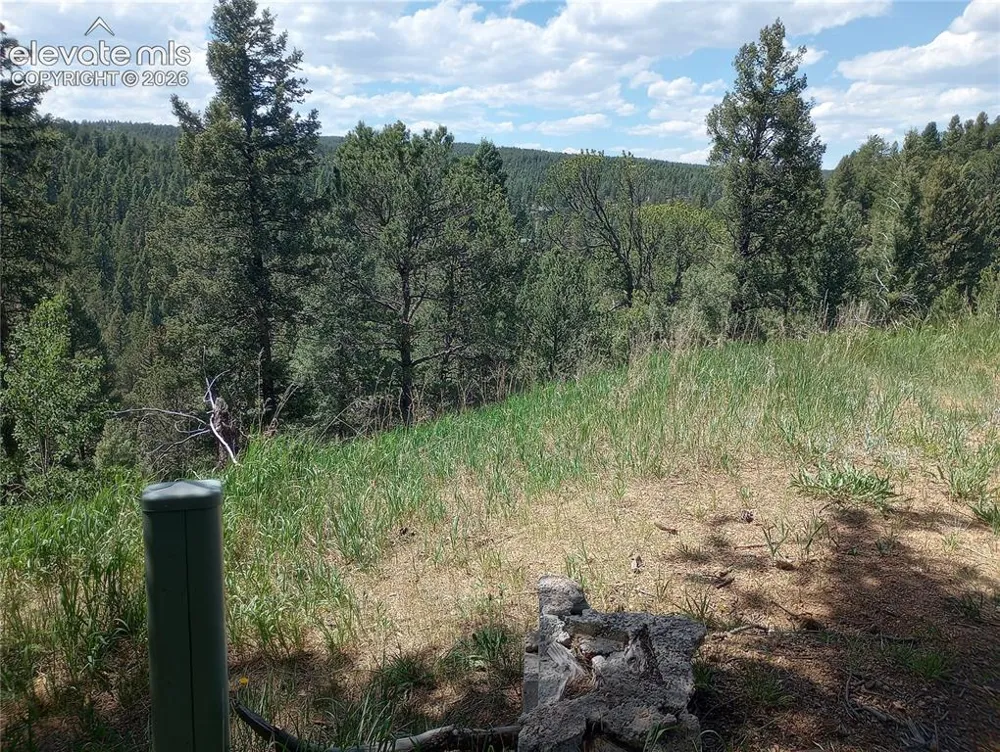 138 Glenwood Lane Woodland Park, CO 80863
