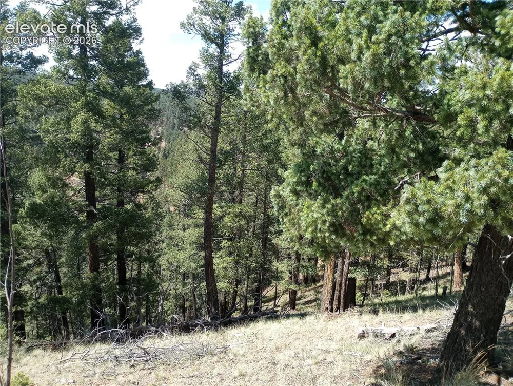 138 Glenwood Lane Woodland Park, CO 80863