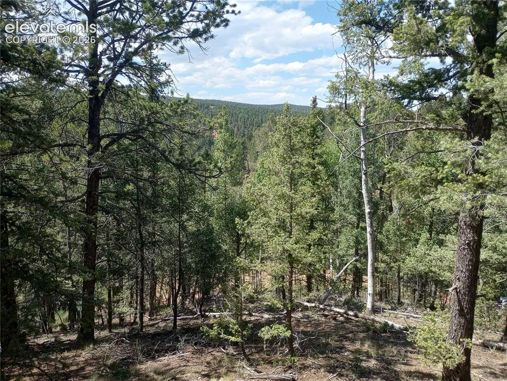 138 Glenwood Lane Woodland Park, CO 80863
