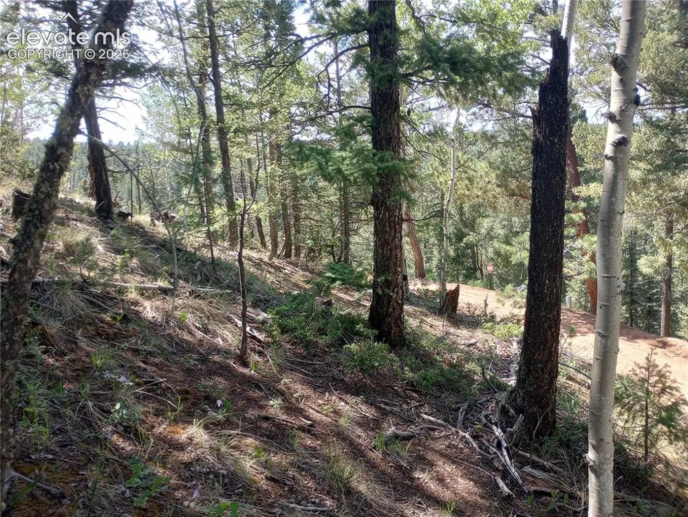 138 Glenwood Lane Woodland Park, CO 80863