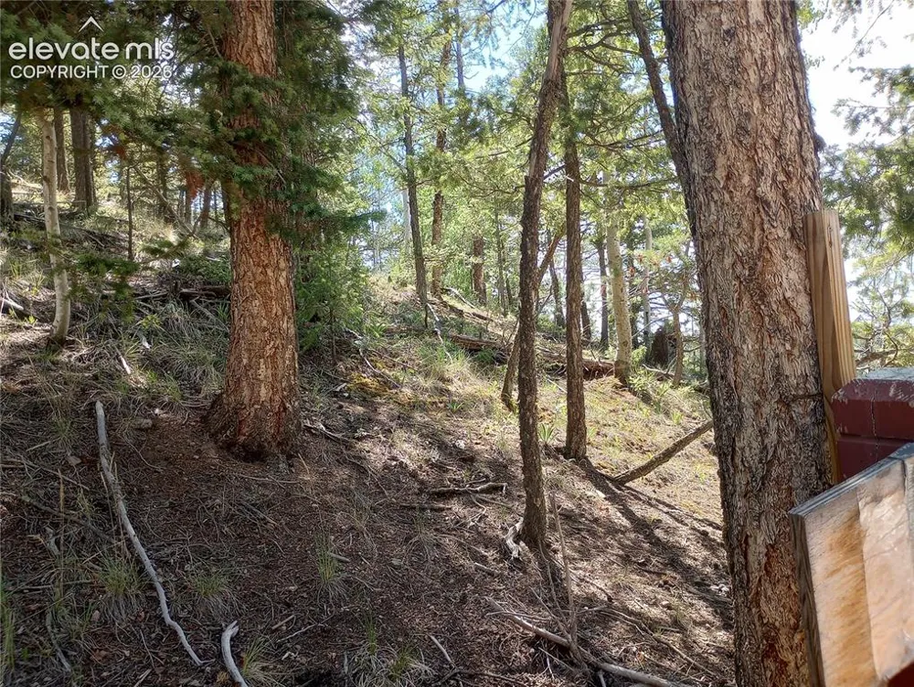 138 Glenwood Lane Woodland Park, CO 80863