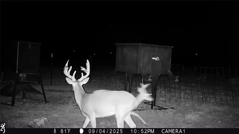 CR 235,227 Haskell, TX 79521