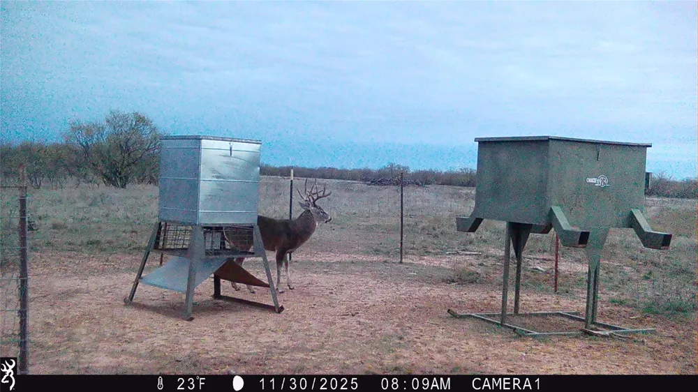CR 235,227 Haskell, TX 79521