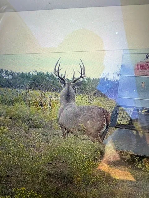 CR 235,227 Haskell, TX 79521