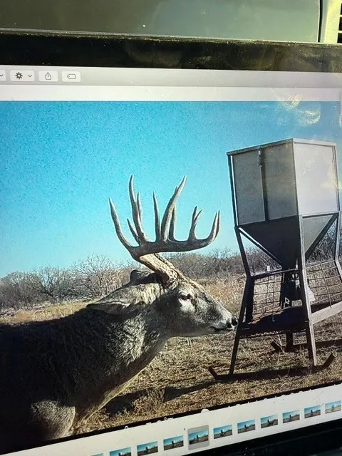 CR 235,227 Haskell, TX 79521