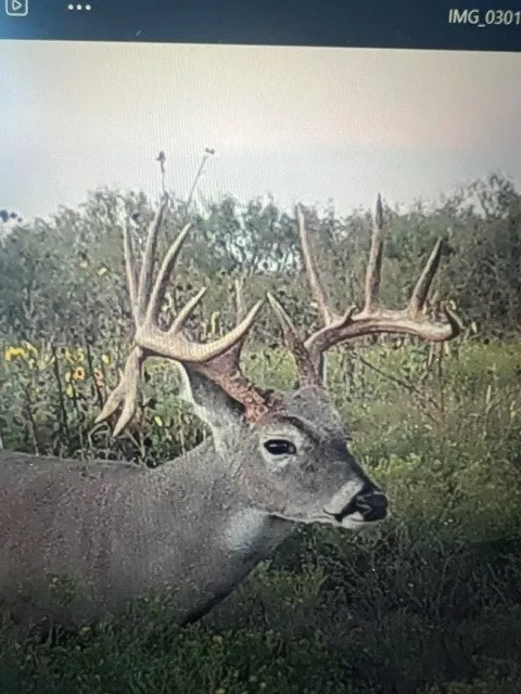 CR 235,227 Haskell, TX 79521