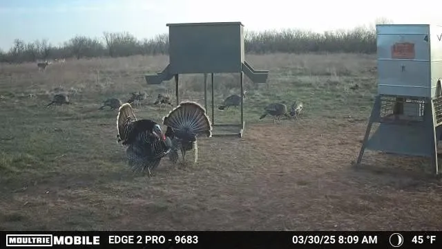 CR 235,227 Haskell, TX 79521