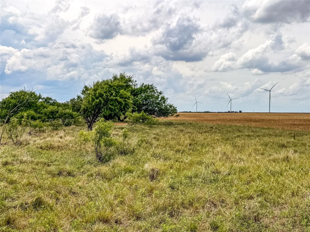 CR 235,227 Haskell, TX 79521