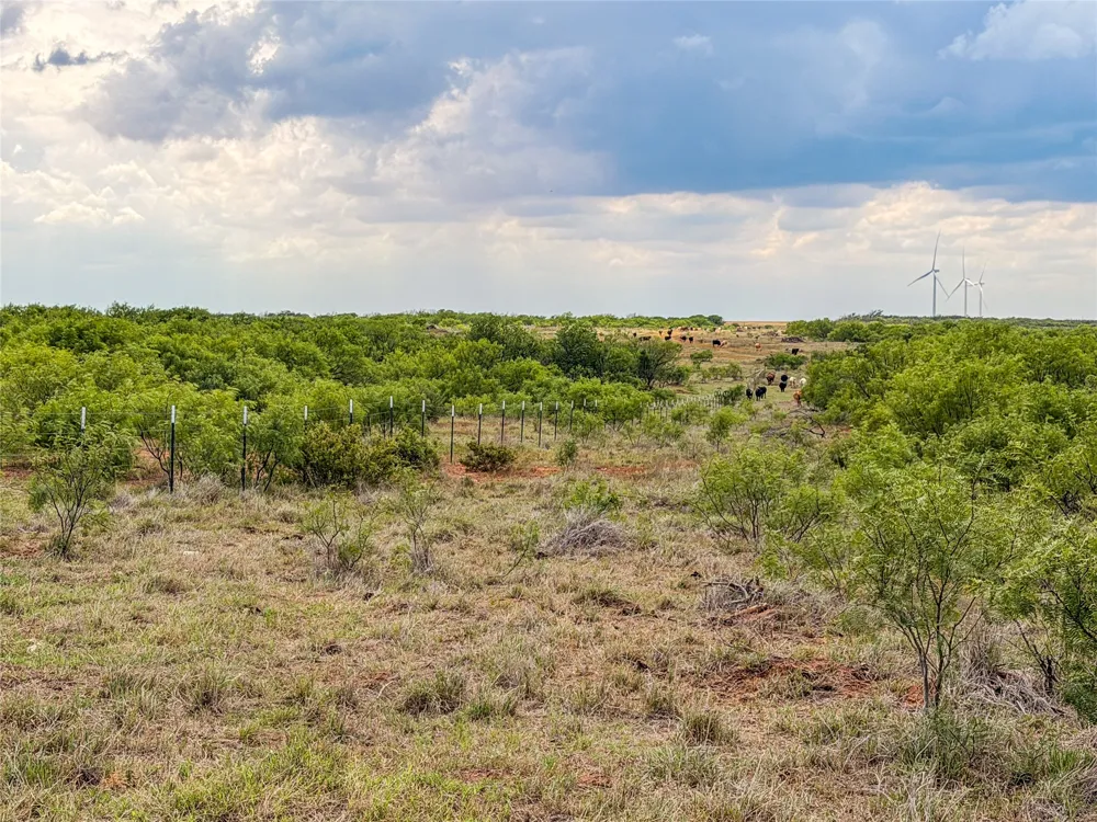 CR 235,227 Haskell, TX 79521