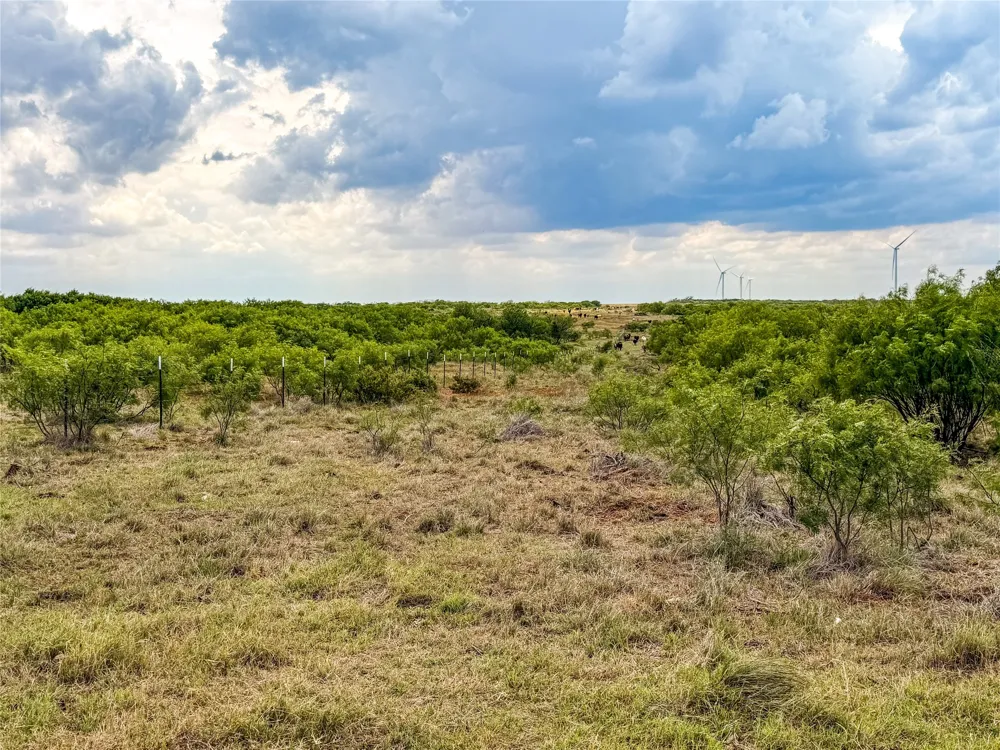 CR 235,227 Haskell, TX 79521