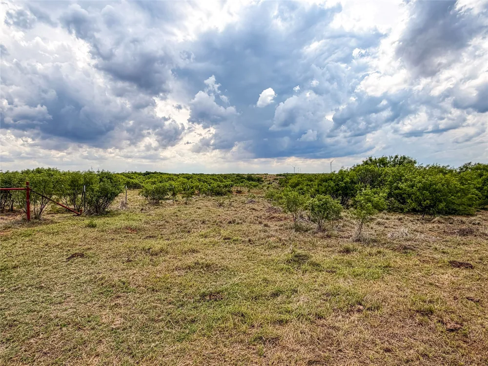 CR 235,227 Haskell, TX 79521