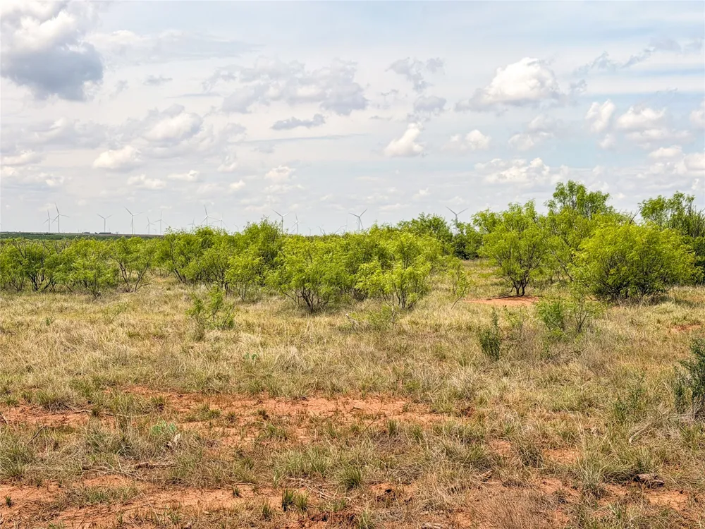 CR 235,227 Haskell, TX 79521