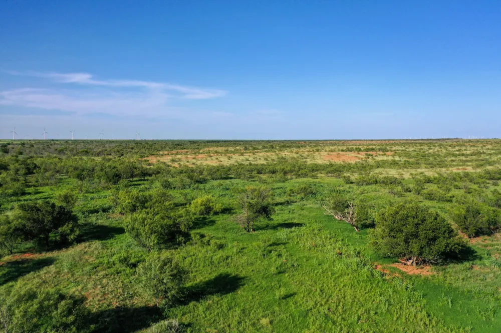 CR 235,227 Haskell, TX 79521