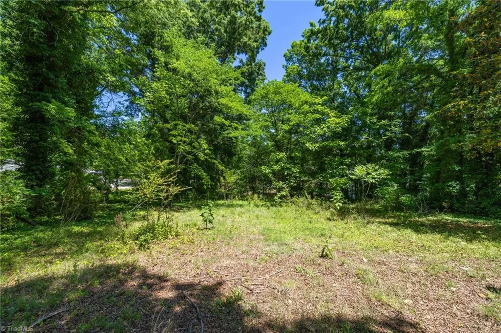422 Patrick Street Eden, NC 27288