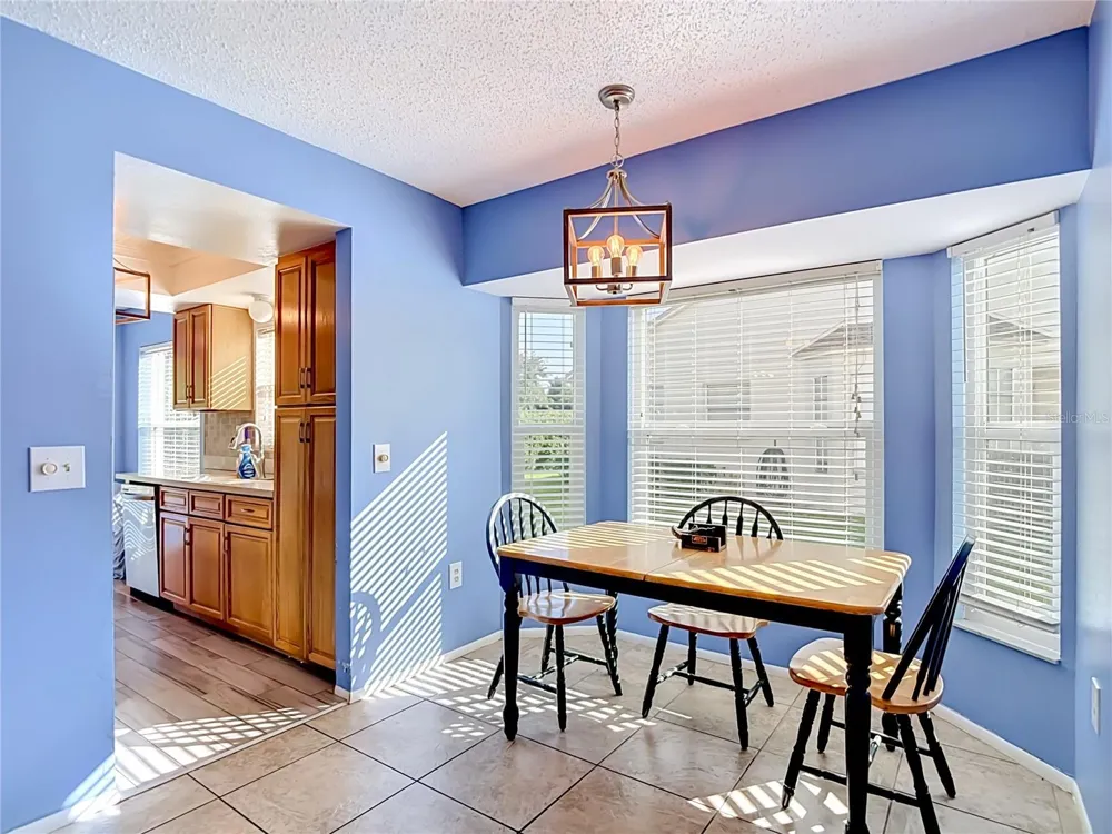 11543 ORLEANS LANE Port Richey, FL 34668