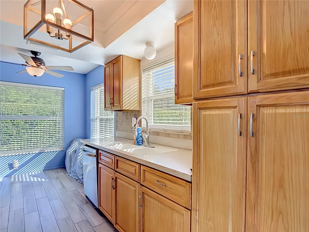 11543 ORLEANS LANE Port Richey, FL 34668