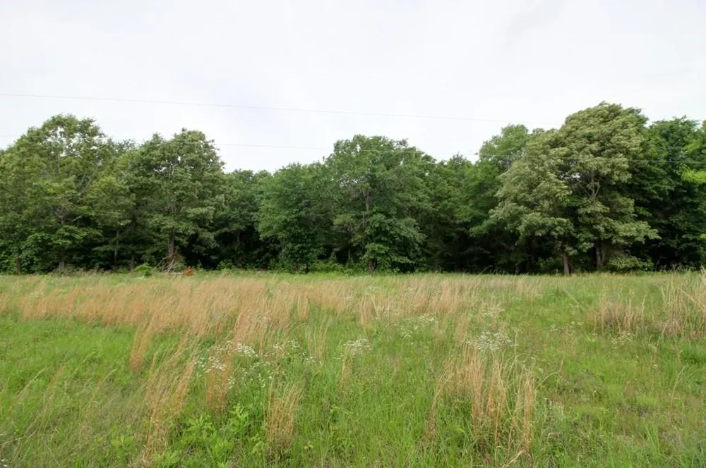 618 Cr 2619 Alto, TX 75925