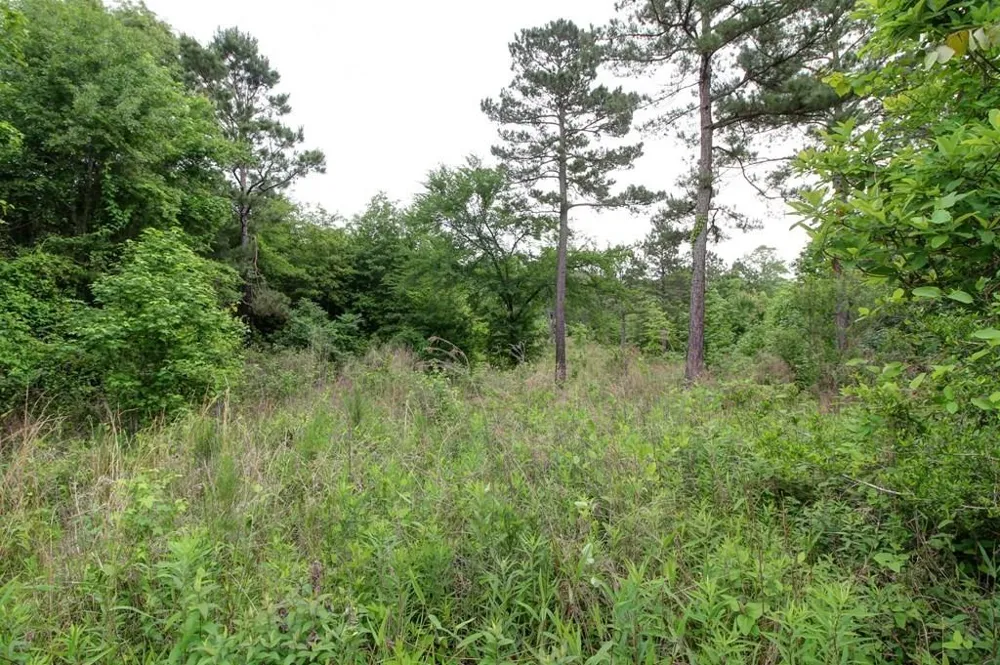 618 Cr 2619 Alto, TX 75925