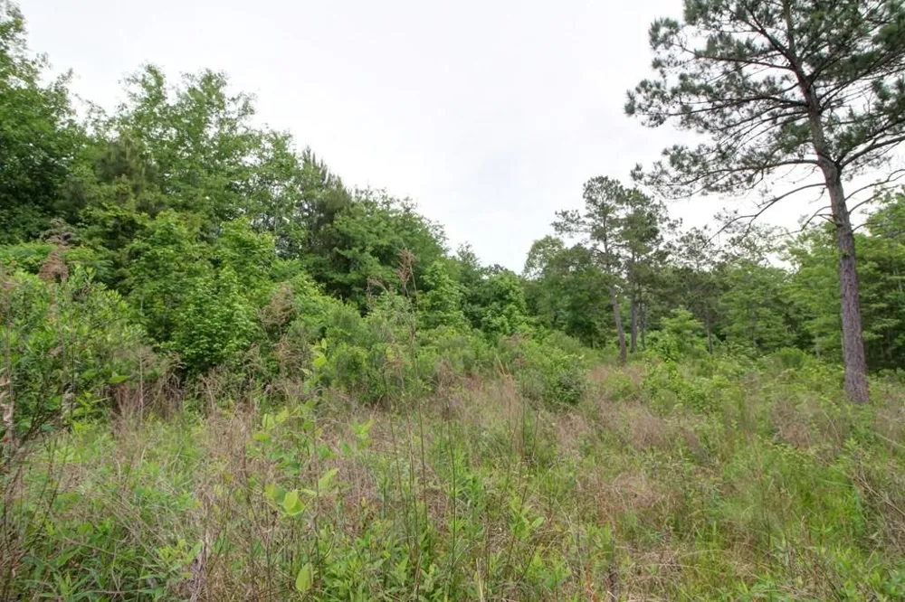 618 Cr 2619 Alto, TX 75925