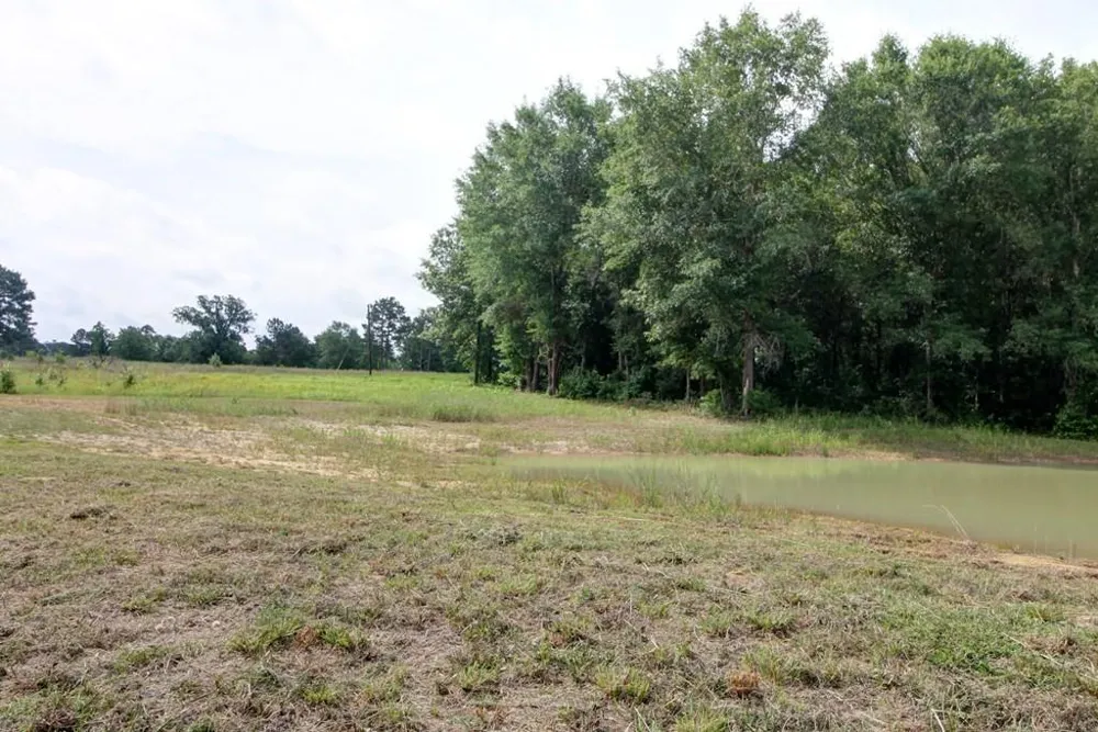 618 Cr 2619 Alto, TX 75925