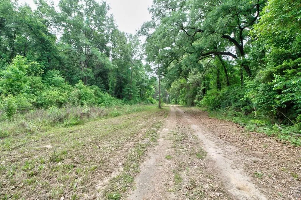 618 Cr 2619 Alto, TX 75925