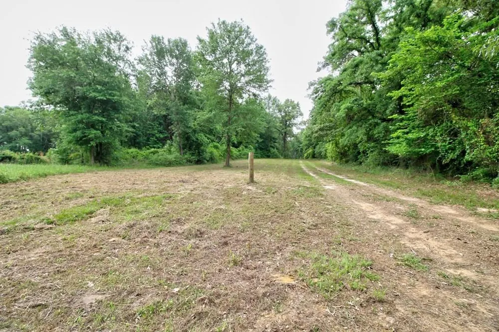 618 Cr 2619 Alto, TX 75925