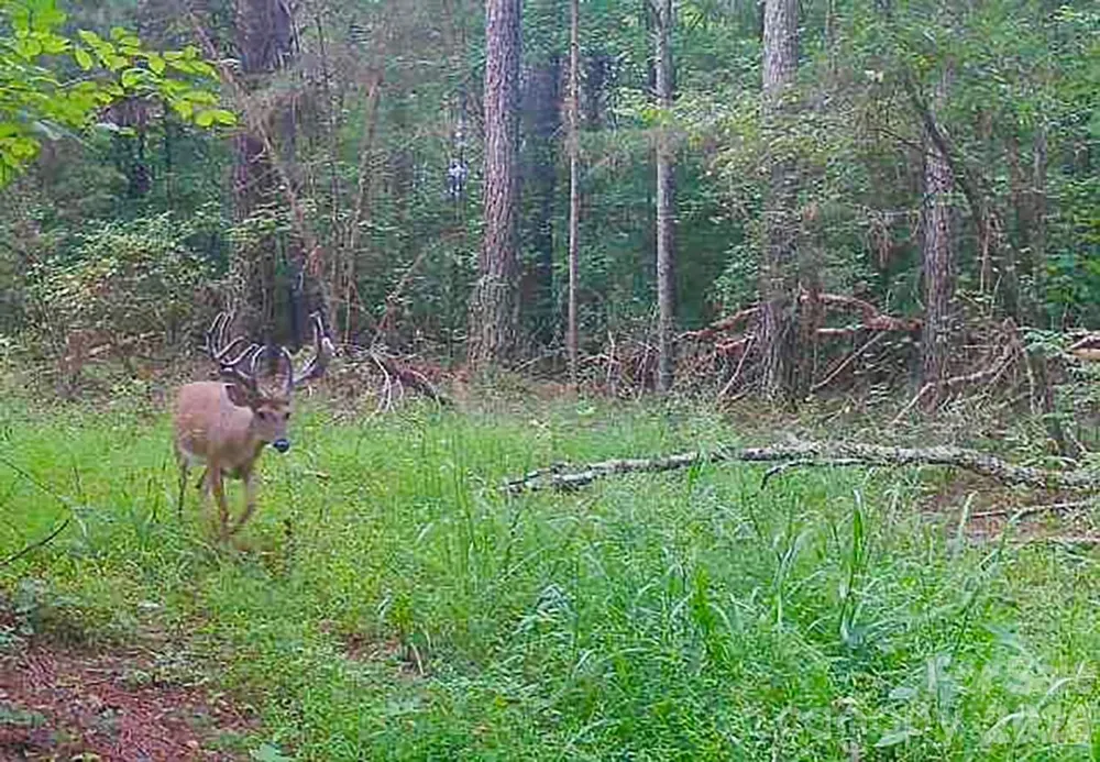 5555 Groves Road Union Mills, NC 28167