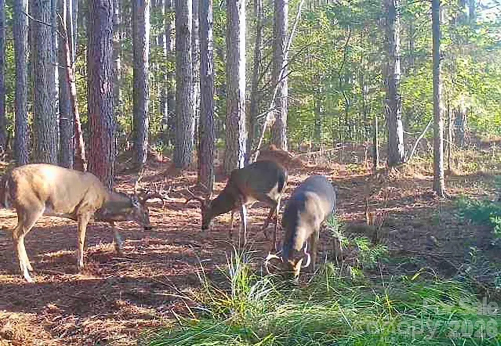 5555 Groves Road Union Mills, NC 28167