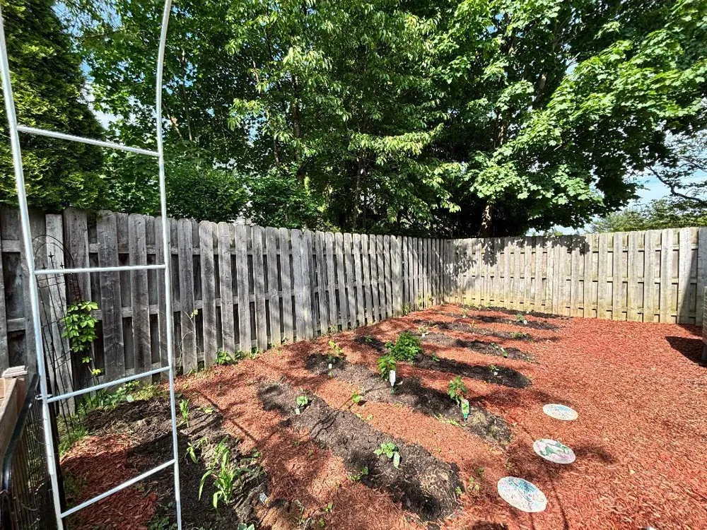 404 Cedar Street Three Oaks, MI 49128