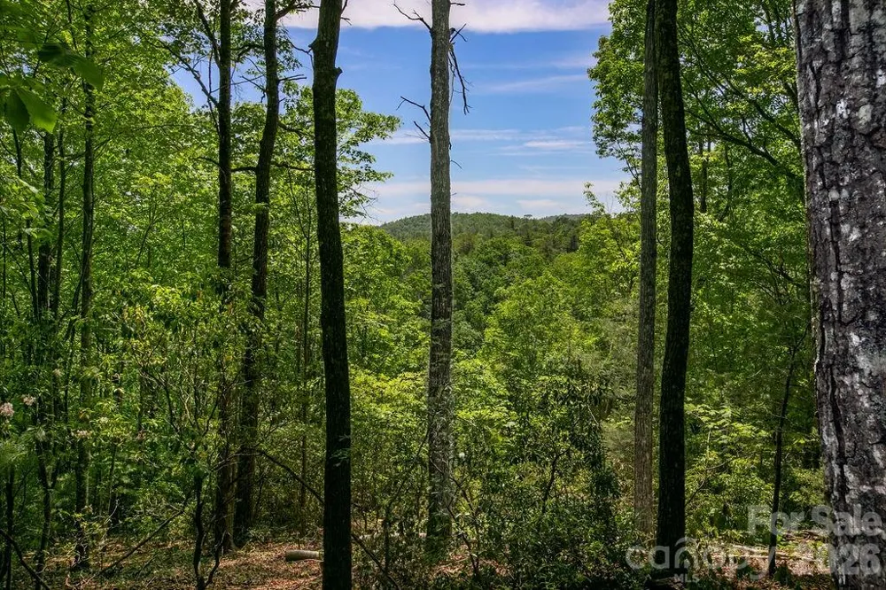 TBD Diamond Creek Road Lake Toxaway, NC 28747