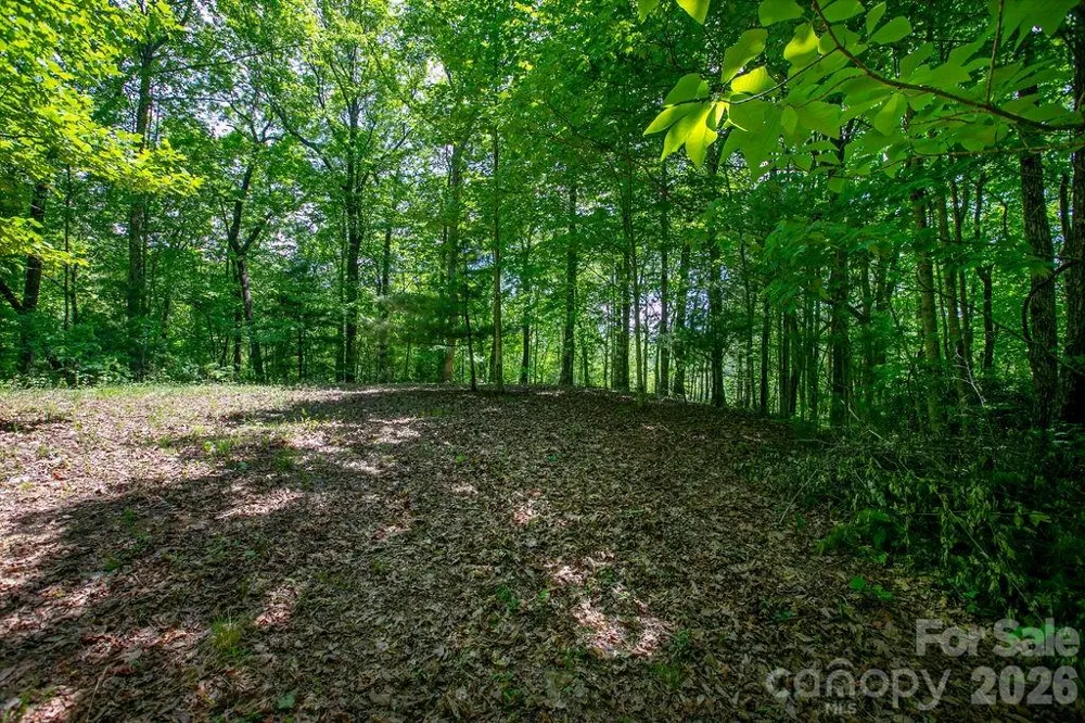 TBD Diamond Creek Road Lake Toxaway, NC 28747