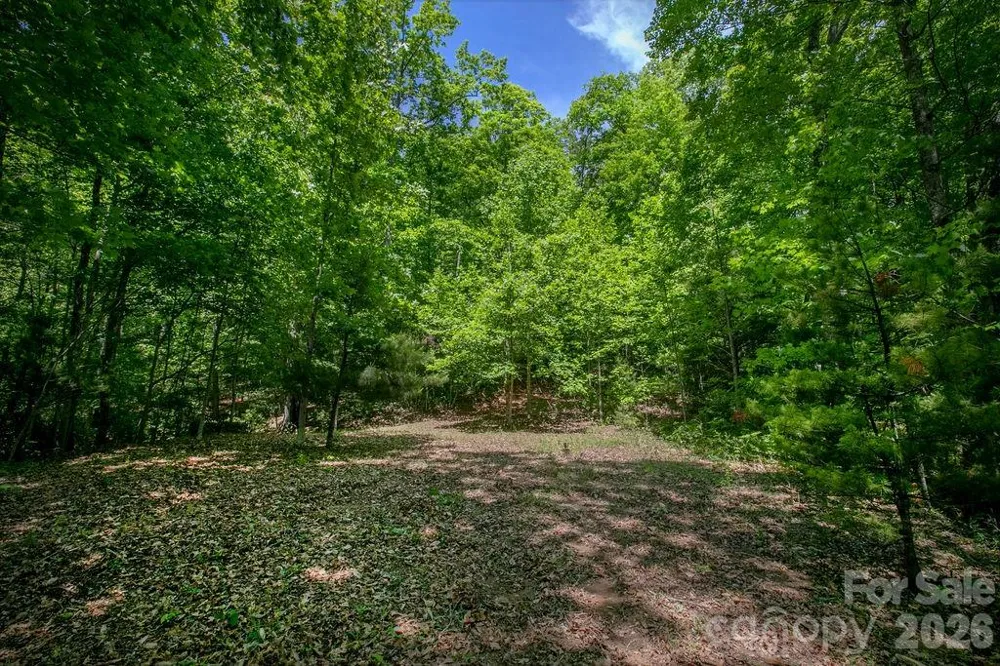 TBD Diamond Creek Road Lake Toxaway, NC 28747