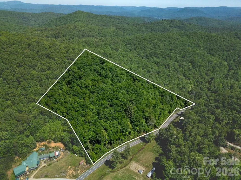 TBD Diamond Creek Road Lake Toxaway, NC 28747
