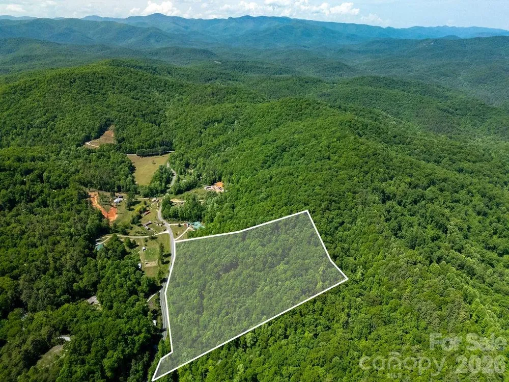 TBD Diamond Creek Road Lake Toxaway, NC 28747