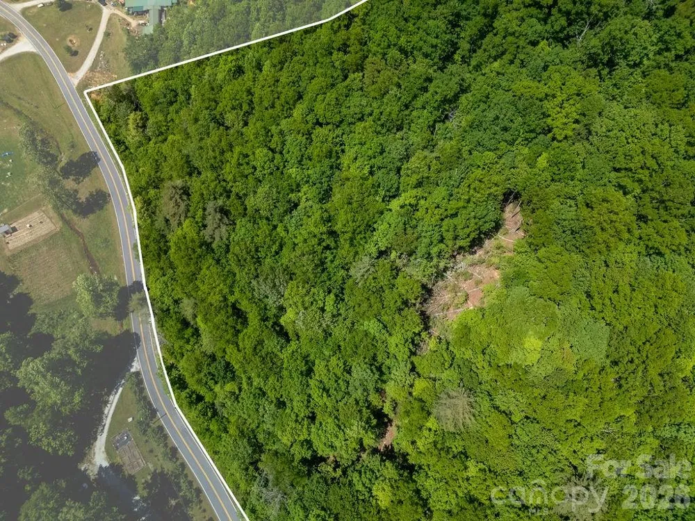 TBD Diamond Creek Road Lake Toxaway, NC 28747
