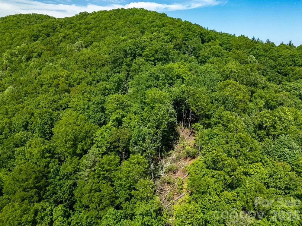 TBD Diamond Creek Road Lake Toxaway, NC 28747