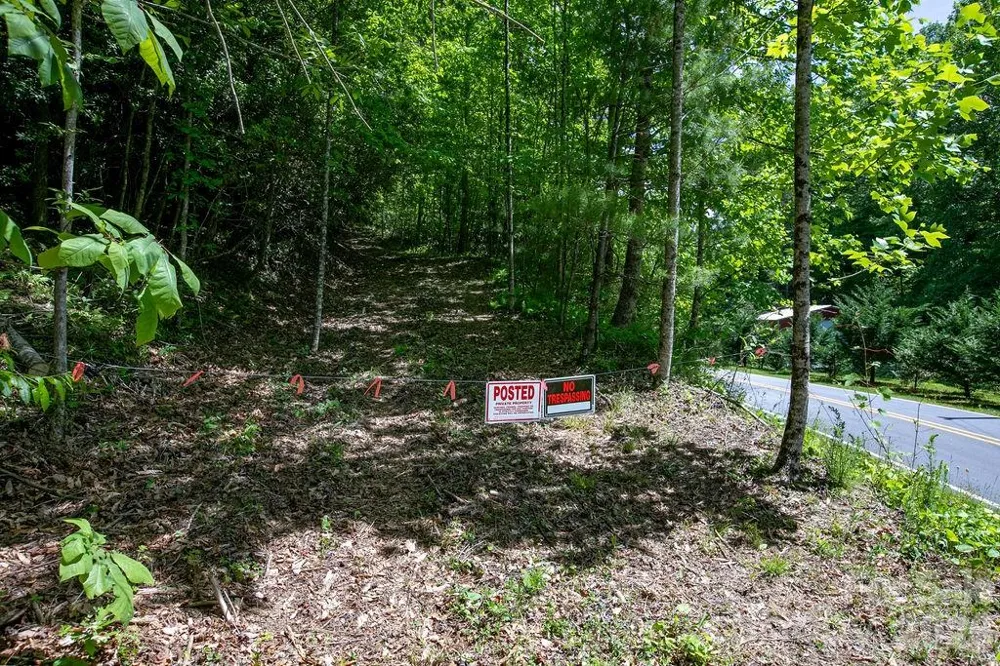 TBD Diamond Creek Road Lake Toxaway, NC 28747