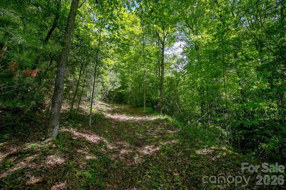TBD Diamond Creek Road Lake Toxaway, NC 28747