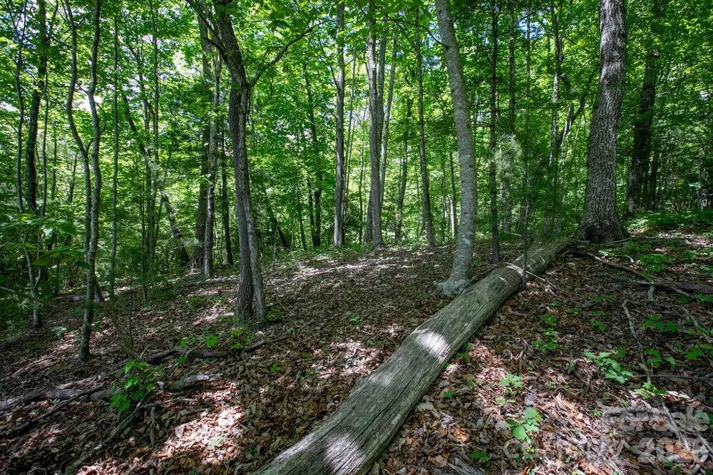 TBD Diamond Creek Road Lake Toxaway, NC 28747