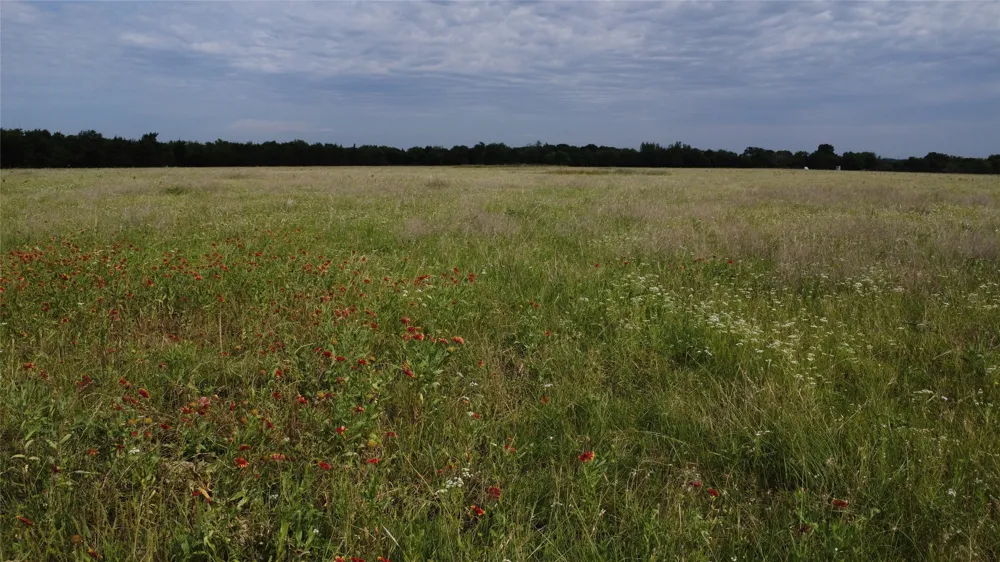 S Hampton Road Oak Leaf, TX 75154